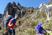 2 Torrioni d'Alben salendo dalla Baita Nembrini (1780 m) al Passo La forca